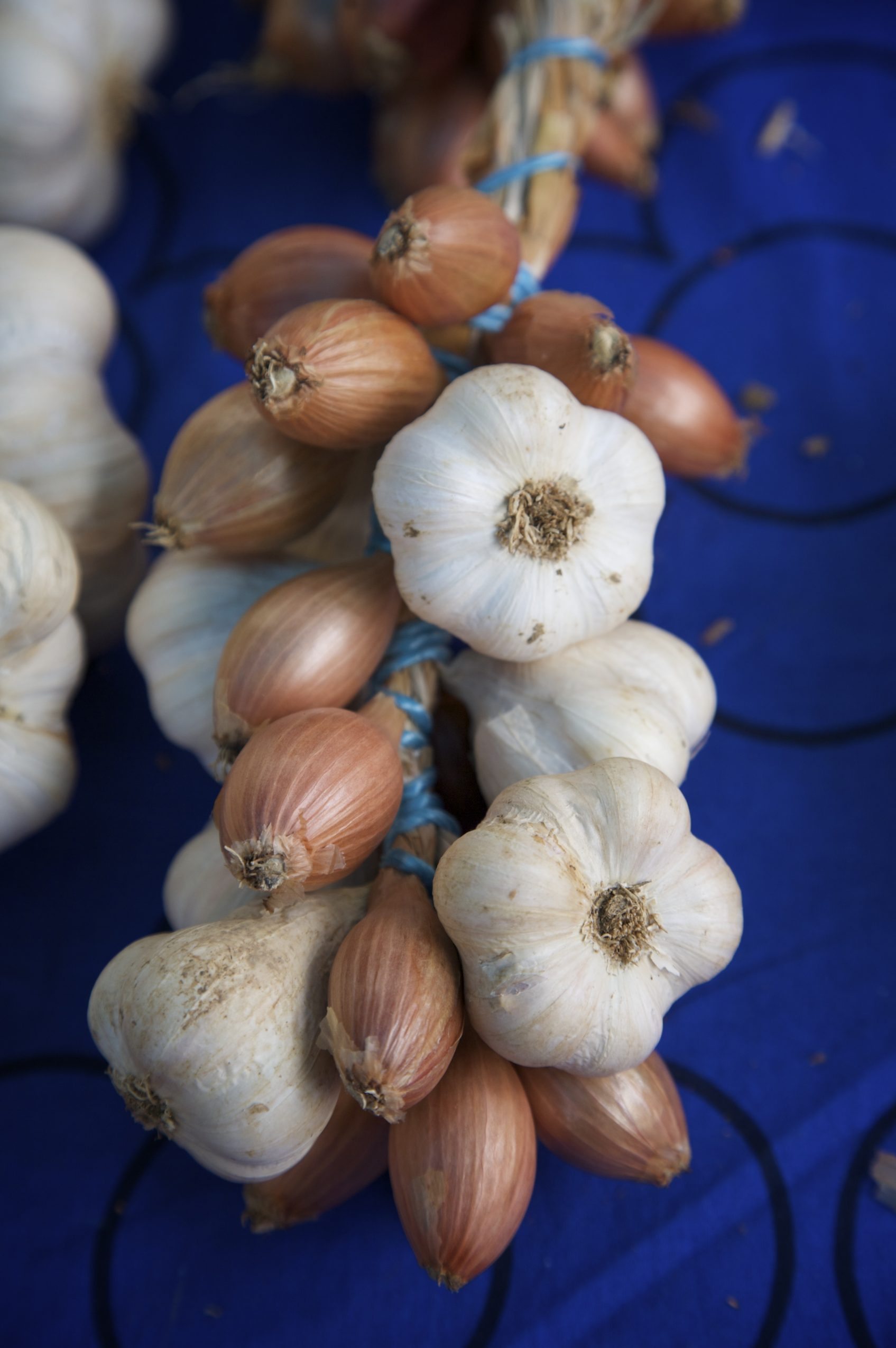 Ail Marché L'Isle-Jourdain