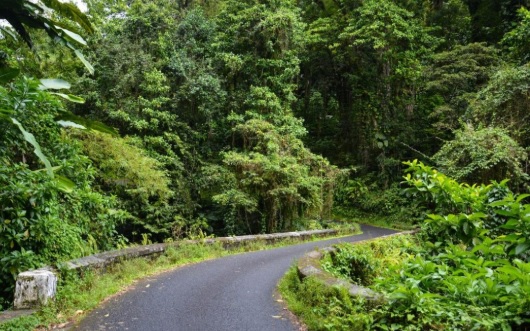 Route de campagne