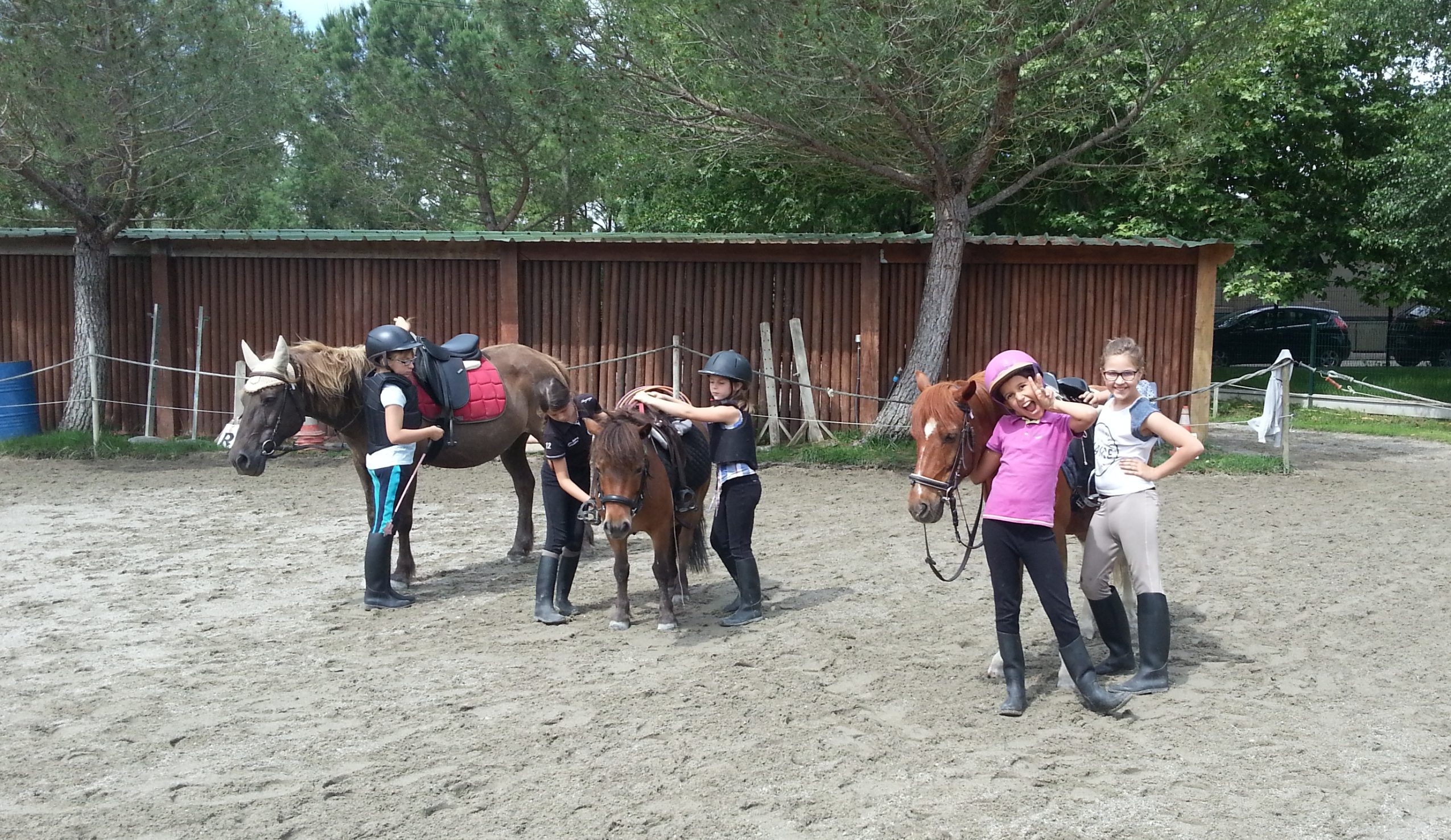 Poney club La Bascoulette - L'Isle-Jourdain