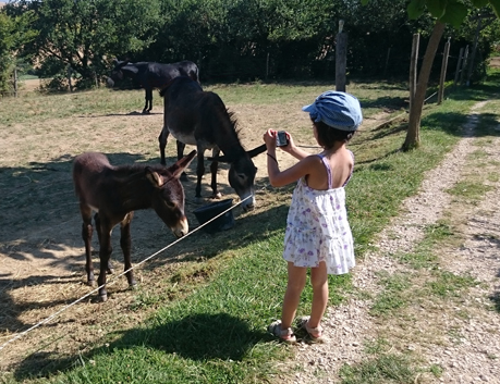 Visite en famille Asinerie-d'Embazac