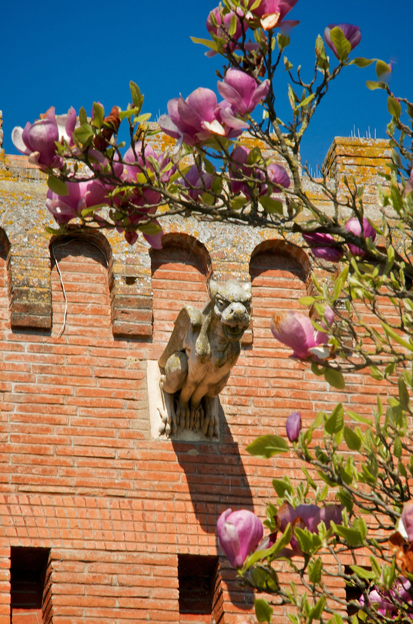 L'Isle-Jourdain château de Panat - Gargouille