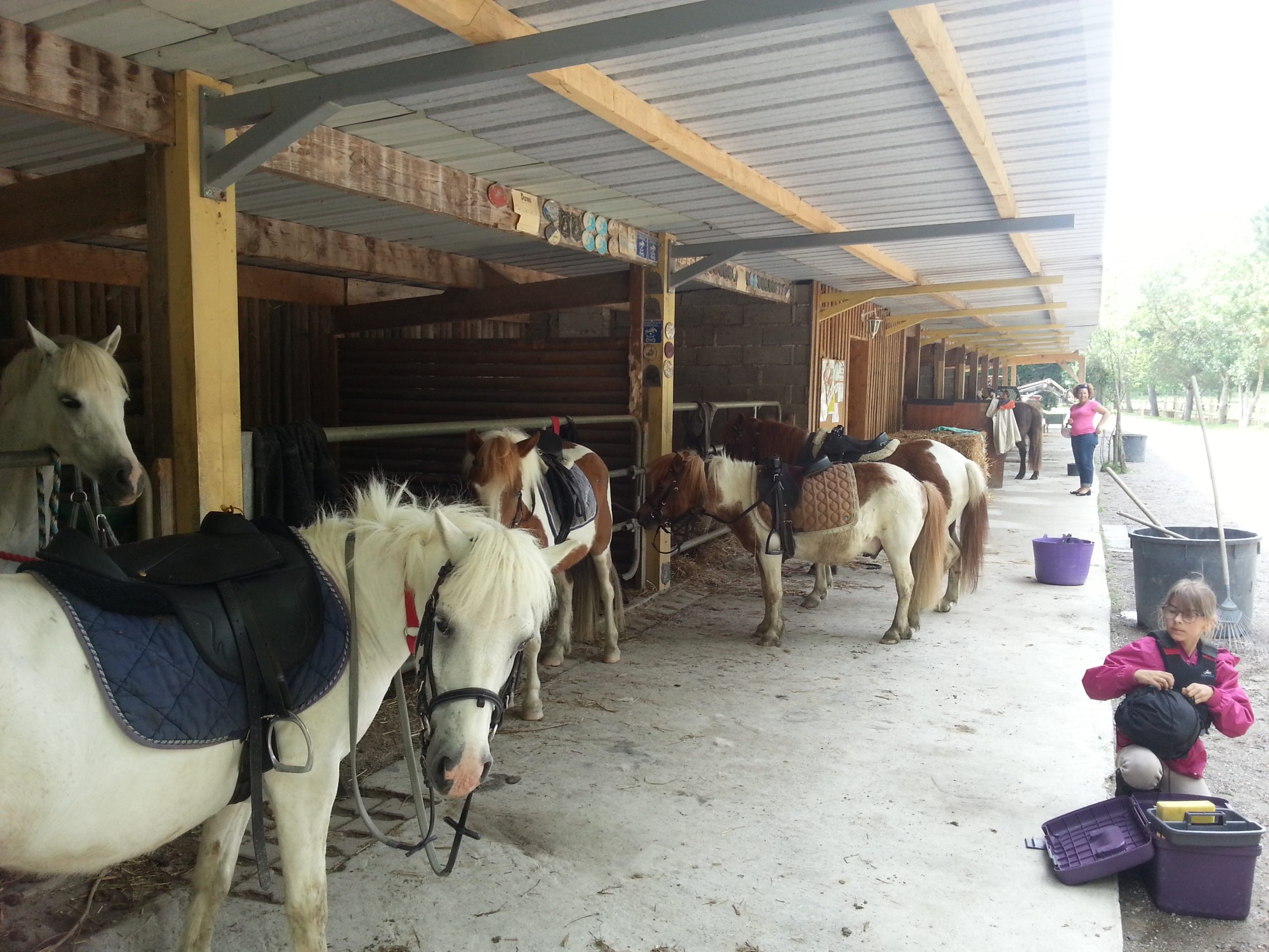 Poney club la Bascoulette L'Isle-Jourdain