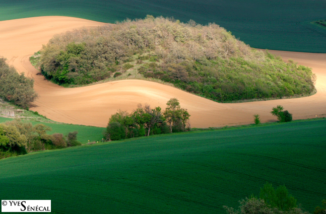 Vallon - automne - Gers