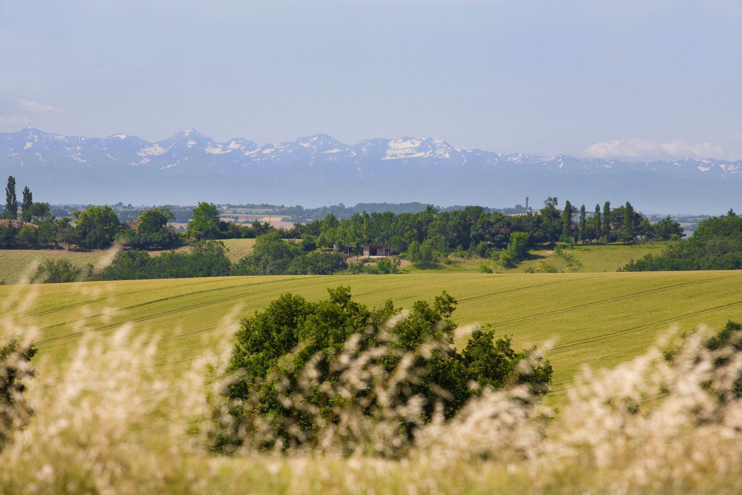 Vue sur la chaine des Pyrénées - Castillon-Savès