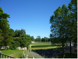 le Velodrome