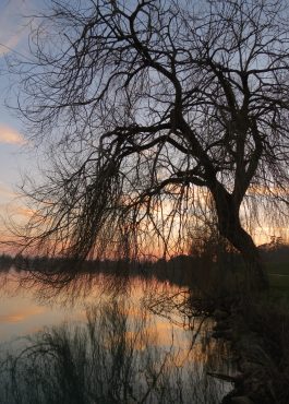 Couché de soleil sur le lac de L'Isle-JOurdain